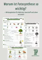 Vorschau - Arbeitsblätter - Warum ist Fotosynthese so wichtig? – Wirkungsketten für Nahrung, Sauerstoff und Leben verstehen - Deckblatt