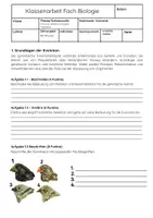 Vorschau - Arbeitsblätter - Synthetische Evolutionstheorie: Mutation, Rekombination, Selektion, Isolation - Seite 2