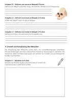 Vorschau - Arbeitsblätter - Humanevolution Biologie Klassenarbeit: Evolution des Menschen - Seite 3