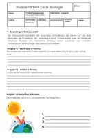 Vorschau - Arbeitsblätter - Klimawandel Biologie Klassenarbei Klass 8 Gymnasium - Seite 1