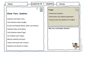 Vorschau - Arbeitsblätter - Insekten Klasse 1–4 Materialpaket | Lesetexte & Arbeitsblätter Deutsch + Sachunterricht | differenziert mit Lösungen | AFB I–III | Sommer | Natur & Umwelt - Seite 1
