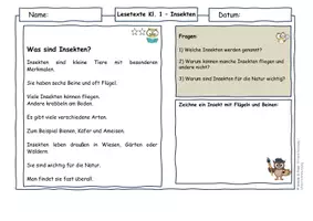 Vorschau - Arbeitsblätter - Insekten Klasse 1–4 Materialpaket | Lesetexte & Arbeitsblätter Deutsch + Sachunterricht | differenziert mit Lösungen | AFB I–III | Sommer | Natur & Umwelt - Seite 2