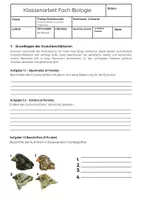 Vorschau - Arbeitsblätter - Evolutionsfaktoren Materialpaket: Mutation, Rekombination, Selektion & sexuelle Selektion - Seite 2