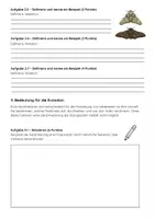 Vorschau - Arbeitsblätter - Evolutionsfaktoren Biologie Klassenarbeit: Mutation & Selektion, Drift - Seite 3
