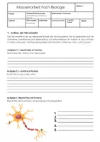 Vorschau - Arbeitsblätter - Die Nervenzelle Biologie Klassenarbeit Oberstufe - Seite 1
