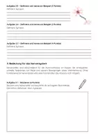 Vorschau - Arbeitsblätter - Die Nervenzelle Biologie Klassenarbeit Oberstufe - Seite 3