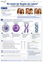 Vorschau - Unterrichtsreihen - Wo steckt der Bauplan des Lebens? – Von Zelle, Zellkern und DNA zur Erbinformation - Seite 1