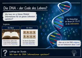 Vorschau - Unterrichtsreihen - Was ist DNA eigentlich? – Aufbau, Basenpaare und genetische Information verstehen - Seite 1