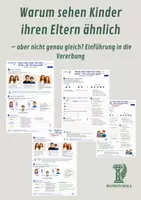 Vorschau - Unterrichtsreihen - Vererbung und Mendel im Materialpaket – 7 Unterrichtsmaterialien mit Wiederholung und Lernkontrolle - Seite 1
