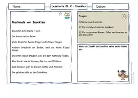 Vorschau - Arbeitsblätter - Insekten Klasse 2 | Lesetexte & Sachtexte | Ursache-Wirkung verstehen | differenziert mit Lösungen - Seite 1