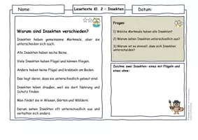 Vorschau - Arbeitsblätter - Insekten Klasse 2 | Lesetexte & Sachtexte | Ursache-Wirkung verstehen | differenziert mit Lösungen - Seite 2