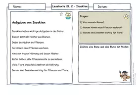 Vorschau - Arbeitsblätter - Insekten Klasse 2 | Lesetexte & Sachtexte | Ursache-Wirkung verstehen | differenziert mit Lösungen - Seite 3