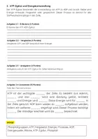 Vorschau - Arbeitsblätter - ATP-Zyklus Klassenarbeit: ADP, Zellatmung & Stoffwechsel - Seite 2