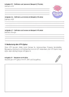 Vorschau - Arbeitsblätter - ATP-Zyklus Klassenarbeit: ADP, Zellatmung & Stoffwechsel - Seite 3