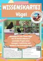 Vorschau - Stationenlernen - Wissenskartei: Heimische Vögel 🦅🐦 | 20 Themenkarten inkl. Fragen & Lösungen | Klasse 3 bis 4 | Lesen & Sachunterricht - Deckblatt