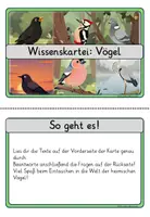 Vorschau - Stationenlernen - Wissenskartei: Heimische Vögel 🦅🐦 | 20 Themenkarten inkl. Fragen & Lösungen | Klasse 3 bis 4 | Lesen & Sachunterricht - Seite 3
