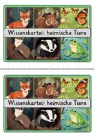 Vorschau - Stationenlernen - Wissenskartei Heimische Tiere 🦊🦌 | 20 Themenkarten inkl. Fragen & Lösungen | Klasse 3 bis 4 | Lesen & Sachunterricht - Seite 2