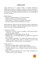 Vista previa - Tarjetas / Manipulativos - PARAULA SECRETA SEGONS LA INICIAL - página 2