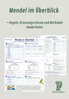Vorschau - Unterrichtsreihen - Mendel im Überblick – Regeln, Kreuzungsschema und Merkmale wiederholen - Deckblatt