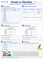 Vorschau - Unterrichtsreihen - Mendel im Überblick – Regeln, Kreuzungsschema und Merkmale wiederholen - Seite 1