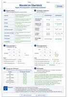Vorschau - Unterrichtsreihen - Mendel im Überblick – Regeln, Kreuzungsschema und Merkmale wiederholen - Seite 2