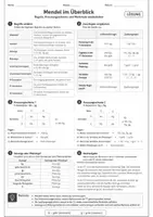 Vorschau - Unterrichtsreihen - Mendel im Überblick – Regeln, Kreuzungsschema und Merkmale wiederholen - Seite 3