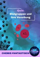 Vorschau - Arbeitsblätter - Materialpaket: Vererbung der Blutgruppen Merkzettel und Quiz - Seite 2