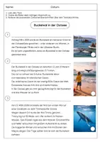 Vorschau - Arbeitsblätter - Gestrandeter Buckelwal Ostsee - Lesetext mit Lesestrategien - Seite 1