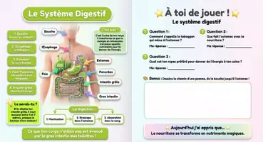 Aperçu - Apprentissages en autonomie - Anatomie Humaine : livre + activités pour enfants - Page 3