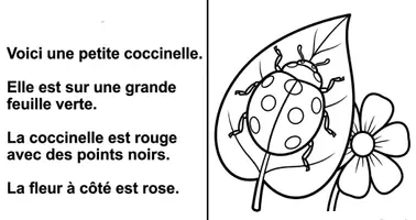 Aperçu - Matériel pour travaux manuels / dessin - Lecture je lis et colorie printemps-été - Page 2