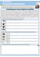 Vorschau - Arbeitsblätter - Die synthetische Evolutionstheorie | Evolutionsfaktoren + Arbeitsblätter mit Lösungen und Präsentation (Klasse 9/10) - Seite 2