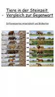 Vorschau - Arbeitsblätter - Tiere in der Steinzeit- Vergleich zur Gegenwart - Deckblatt