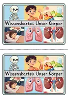 Vorschau - Stationenlernen - Wissenskartei Unser Körper 🫀🧬 | 16 Themenkarten inkl. Fragen & Lösungen | Klasse 3 bis 4 | Lesen & Sachunterricht - Seite 2