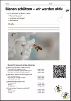 Vorschau - Arbeitsblätter - Die Biene entdecken – Sachtexte lesen und verstehen - Deckblatt