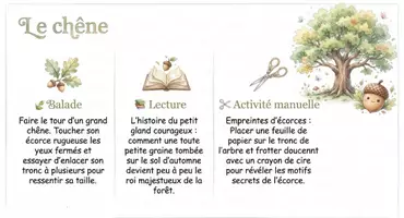 Aperçu - Apprentissages en autonomie - 29 Activités Nature pour la Maternelle Livre éducatif - Page 2