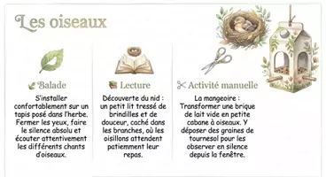 Aperçu - Apprentissages en autonomie - 29 Activités Nature pour la Maternelle Livre éducatif - Page 3