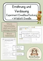 Vorschau - Stundenentwürfe - Experiment Ausflockung Eiweiß mit Infoblatt Eiweiß inkl. Tafelmaterial - Deckblatt