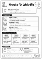Vorschau - Arbeitsblätter - Wortarten Klasse 1, 2, 3, 4 Frühling - Seite 1
