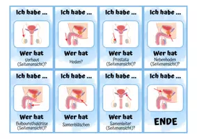 Vorschau - Spiele - Sexualkunde: Männliches Geschlechtsorgan - Ich habe wer hat? - Seite 3