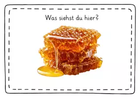 Vorschau - Mal- und Bastelvorlagen - Die Biene – umfassendes Unterrichtspaket für Klasse 1/2 | Lapbook, Stationen, Differenzierung & Kreativmaterial - Seite 2