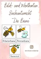 Vorschau - Bildkarten - Bild- und Wortkarten Sachunterricht Die Biene - Deckblatt