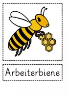 Vorschau - Bildkarten - Bild- und Wortkarten Sachunterricht Die Biene - Seite 1