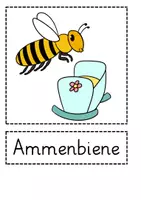 Vorschau - Bildkarten - Bild- und Wortkarten Sachunterricht Die Biene - Seite 2