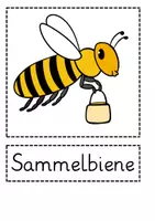 Vorschau - Bildkarten - Bild- und Wortkarten Sachunterricht Die Biene - Seite 3