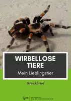 Vorschau - Arbeitsblätter - Wirbellose Tiere - Mein Lieblingstier (Steckbrief) - Deckblatt