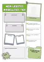 Vorschau - Arbeitsblätter - Wirbellose Tiere - Mein Lieblingstier (Steckbrief) - Seite 1
