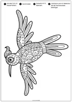 Vorschau - Mal- und Bastelvorlagen - Fensterbilder basteln: 15 Vögel (Mandala) mit Öl-Trick – Kunstunterricht Grundschule (Klasse 1-4) – Frühling/Sommer - Seite 1
