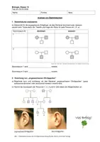 Vorschau - Arbeitsblätter - Test Stammbaumanalyse 10. Klasse - Seite 1