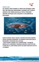 anteprima - Schede informative - Libro squali e attività - scienze - Pagina 2