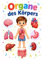 Vorschau - Poster - Lernkarte – Organe des Körpers – Sachunterricht – Der menschliche Körper 3. Klasse - Seite 1